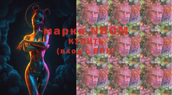 крисы Аркадак