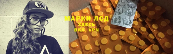 крисы Аркадак