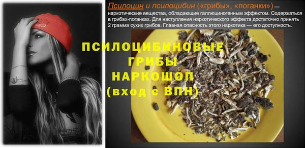 герыч Арсеньев