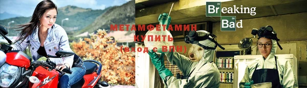 крисы Аркадак