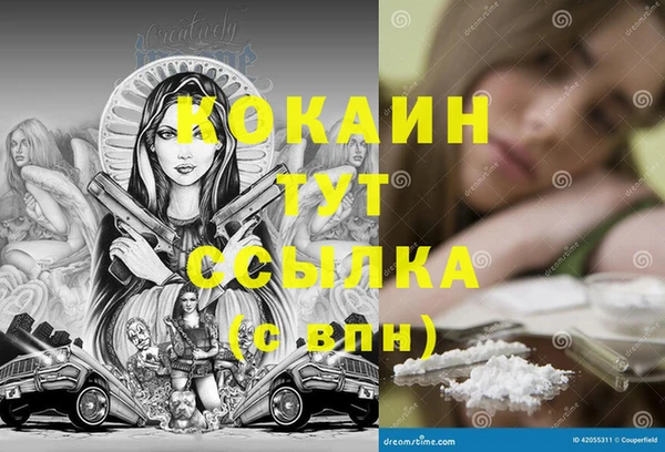 крисы Аркадак